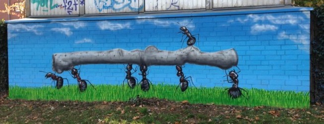 Ameisen Graffiti