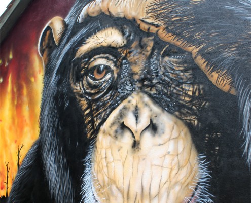 graffiti-affe-bener1-detail